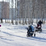 Минский лес Минский лес