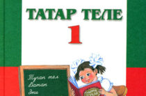 В Казани прокуратура требует исключить татарский язык из обязательной программы в школах