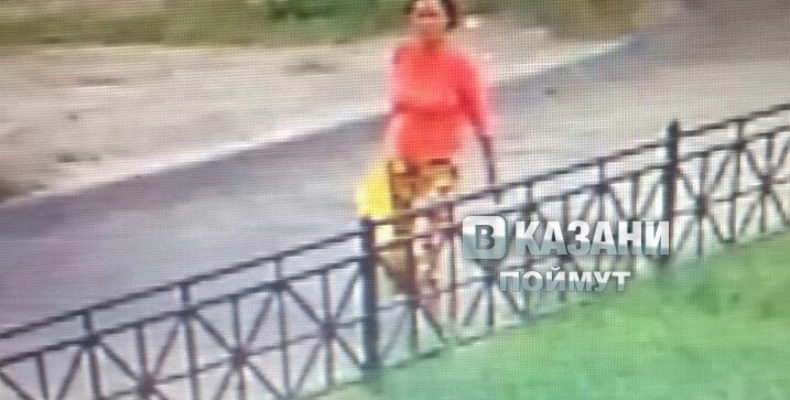 Полиция установила личность женщины, которая оставила новорожденную на улице