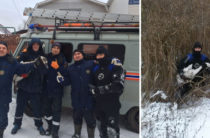 Казанские спасатели вызволили трех лебедей из ледового плена