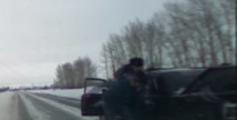В Татарстане полицейские после погони задержали угонщиков (Видео)