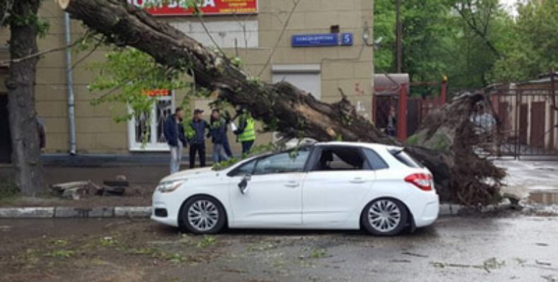 Ураган в Москве унес жизни по меньшей мере 11 человек