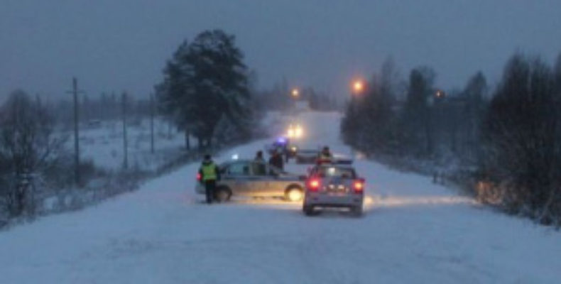 В Кемеровской области водитель BMW сбил женщину с четырьмя детьми, одна девочка погибла