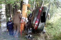 Смертельное ДТП в Марий Эл: «Лада» вылетела с дороги и застряла между деревьями