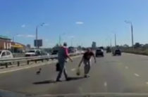Милота дня: На «Миллениуме» двое мужчин помогают утенку дорогу