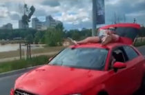 ВИДЕО: Казанец в трусах прокатился по Кремлевской дамбе на «Ауди»