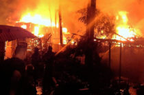 В Боровом Матюшино ночью сгорели 5 дачных домов и баня