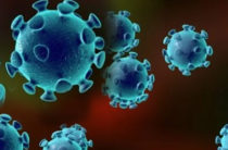 В России за сутки выявлено 52 новых случая заражения коронавирусом