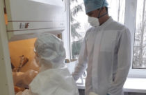 Количество выявленных случаев коронавируса в России на 23 апреля достигло 62 773
